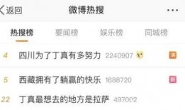 丁真被奇点爆料视频全集,丁真视频全集背后的故事与真相