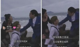 辛巴讽刺爆料者的视频,真相背后的真相