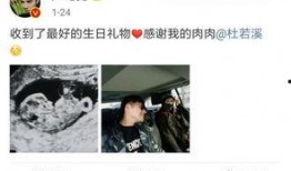 晋江杨小姐爆料视频大全,揭秘娱乐圈幕后真相