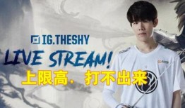 爆料之王王逸简介视频,揭秘其传奇经历与影响力