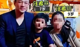 葛斯齐爆料的汪小菲视频,真相背后引人深思