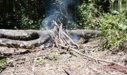 野外求生爆料视频大全最新,揭秘最新爆料视频大全