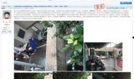 深圳 爆料 新闻,聚焦城市热点事件追踪