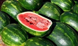 旅游吃瓜视频素材下载免费,跟随吃瓜视频，免费下载美食攻略