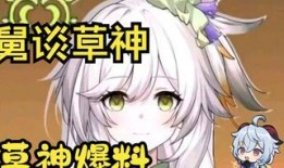 原神最新草神爆料,原神全新角色神秘面纱揭晓