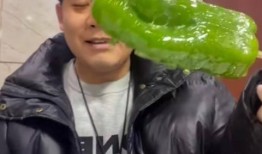 吃瓜事件网红数钱,数字背后的秘密