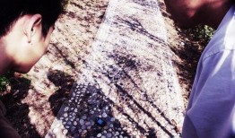 花与蛇9手机在线观看,手机在线观看，激情演绎禁忌之恋