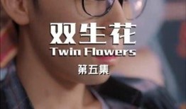双生花在线观看,命运交织的奇幻之旅