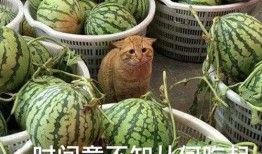 最新爆料吃瓜视频大全,揭秘娱乐圈幕后真相