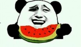 虎虎爱娱乐吃瓜,揭秘娱乐圈背后的那些事儿