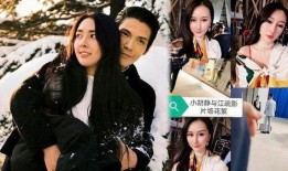 狗仔爆料刘雯视频播放全集,真实生活与时尚舞台的碰撞