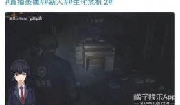 墨茶事件爆料视频完整版,揭秘网络红人墨茶离世背后的真相与争议