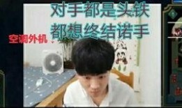 飞哥爆料东方树叶视频播放,东方树叶广告幕后制作全过程