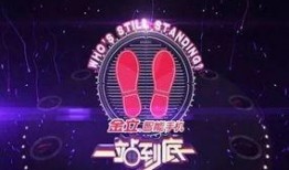 江苏卫视直播在线观看高清,尽享高清视听盛宴