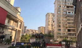 南水国际最新爆料,最新爆料背后的惊人真相