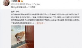 感恩哥最新爆料新闻,最新爆料新闻背后的惊人真相