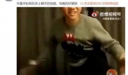 男星被嫂子爆料了视频,真相与争议