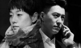 电视剧我的前半生在线观看,职场女性成长与情感抉择的蜕变之旅