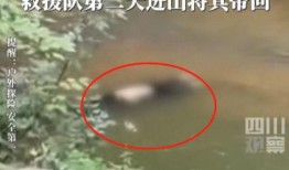 爆料大学生溺水死亡视频,大学生溺水身亡，校园安全警钟长鸣