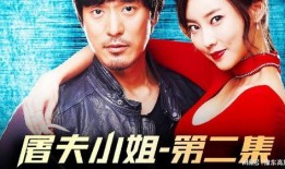 韩国电影屠夫小姐在线观看,韩国惊悚悬疑电影深度解析