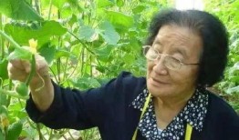 网红吃瓜不定时更新,新鲜资讯，定时更新，揭秘娱乐圈幕后故事