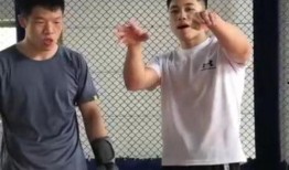 马老师爆料太极拳视频播放,太极拳视频背后的神秘力量