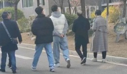 吃瓜事件网红数钱,数字背后的秘密