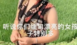 缅甸小女孩爆料视频播放,揭示真实生活困境