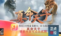 四川卫视2在线直播观看,精彩节目尽在掌握