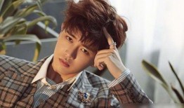 娱乐吃瓜蜀黍任嘉伦视频,娱乐圈幕后故事大揭秘！