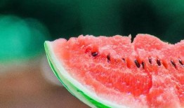 梅娜免费吃瓜,揭秘娱乐圈幕后真相