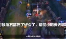 黑龙爆料假拳视频,假拳视频引发行业地震