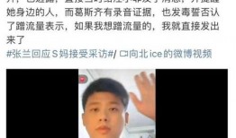 爆料汪小菲的钟老师视频,揭秘豪门背后的真实生活