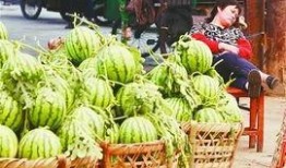 贵阳娱乐吃瓜事件,一场吃瓜群众的狂欢与反思