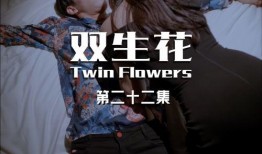 双生花在线观看,命运交织的奇幻之旅