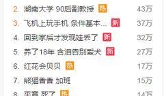 最新爆料音乐有哪些歌曲,最新爆料歌曲盘点