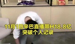 辛巴讽刺爆料者的视频,真相背后的真相