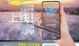 爆料大连新闻的视频,揭秘事件真相，追踪热点动态