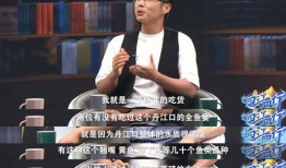 爆料之王王逸简介视频,揭秘其传奇经历与影响力