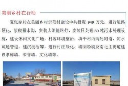 沙河村最新爆料事件,揭秘事件背后惊人真相