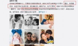 爆料一个人的视频,视频爆料揭示惊人真相