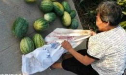 新昌吃瓜最新事件爆料,揭秘背后惊人真相