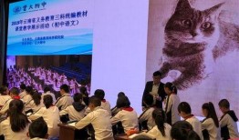 虹云大爆料新闻,揭秘娱乐圈惊天秘密