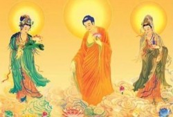 佛系明珠爆料神虎视频,神虎视频背后的神秘力量