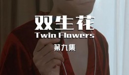双生花在线观看,命运交织的奇幻之旅