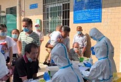 狮岭镇新闻爆料,聚焦当地热点事件与社区动态