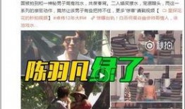爆料西安老乔事件视频播放,真相与争议交织