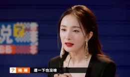 爆料阿湖真人真事视频,真人真事视频背后的惊人真相