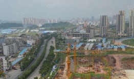 玉林中鼎房产爆料案件最新,揭秘背后惊人真相！