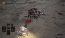 黑龙爆料假拳视频,假拳视频引发行业地震